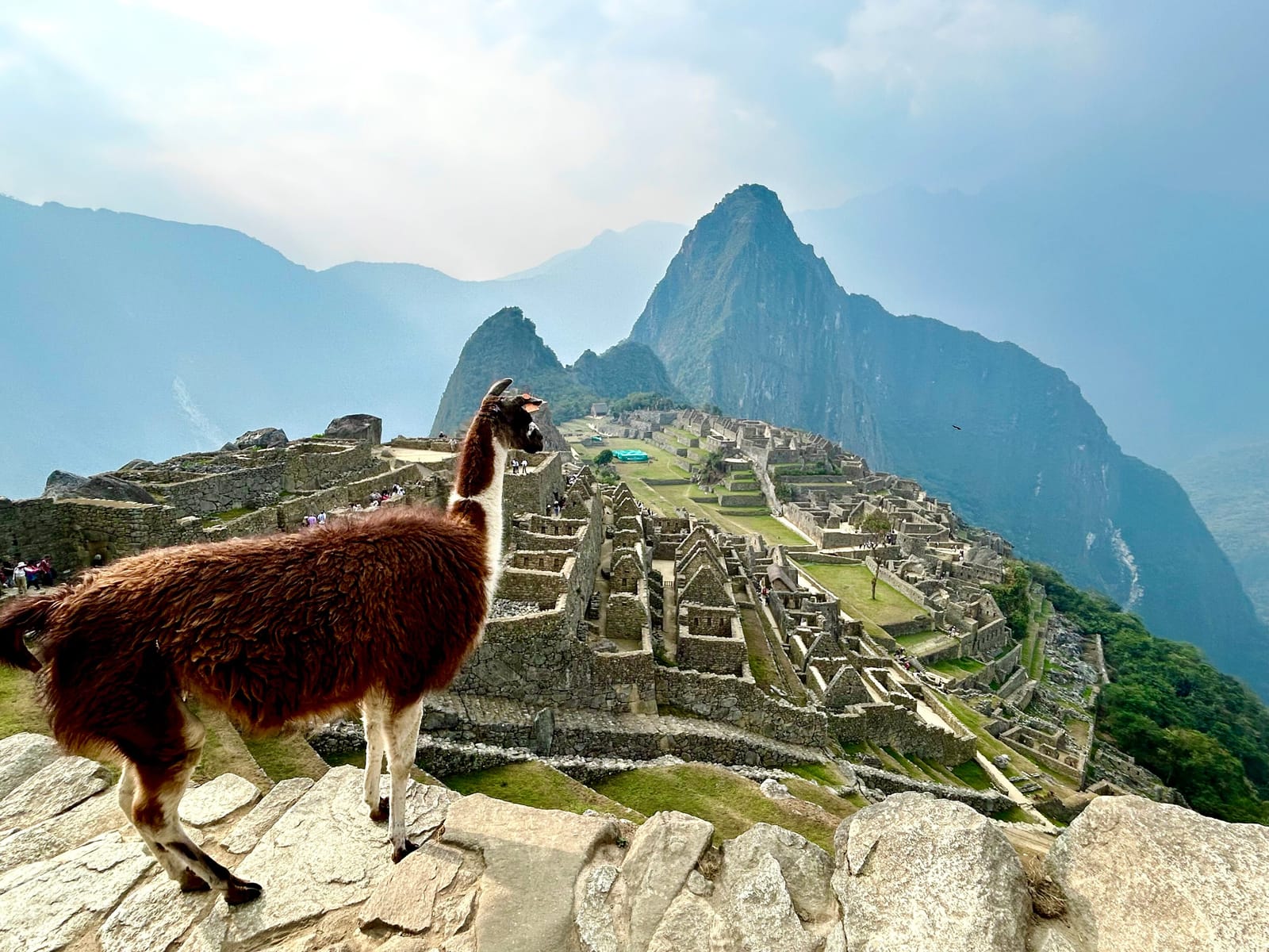 2-Day Tour from Cusco: Sacred Valley and Machu Picchu by Train